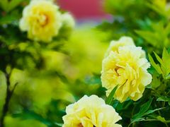 -大钟寺古钟博物馆