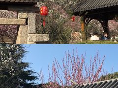 -无锡梅园公园