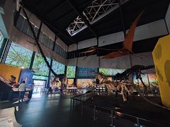 -湖南省地质博物馆