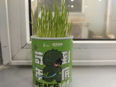 -汪说喵讲宠物乐园宠物酒店(红星美凯龙店)