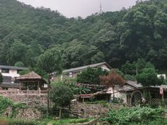 -雁荡山大龙湫景区