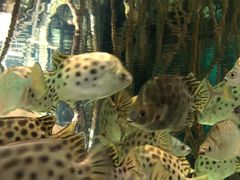 -福州罗源湾海洋世界旅游区