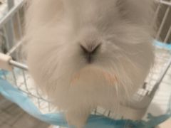 -怪兽屋·羊驼·猫咖·狗咖(俊华广场店)