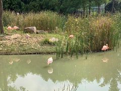 -上方山森林动物世界