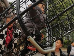 -枫香湖儿童公园