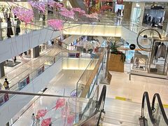-岭南站NOVA