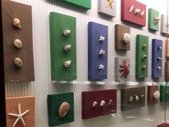 -青岛贝壳博物馆