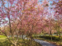 -福建鲤鱼洲酒店