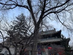 -五台山风景名胜区