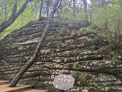 -汤旺河林海奇石景区