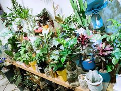 -缦云里花园餐厅