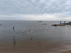 -老虎石海上公园