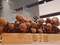 -椰子营·椰子鸡火锅(万象里店)