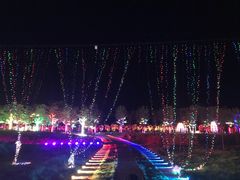-枫林花海