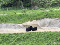 -贵州森林野生动物园