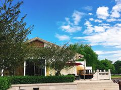 -望海·帆船主题咖啡厅•品茗下午茶(石湖景区店)
