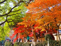 -青岛崂山太清宫