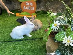 -赛格国际购物中心(小寨店)