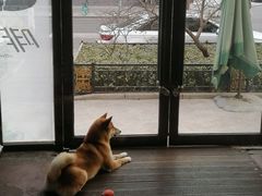 -啡语