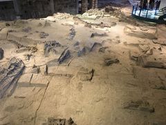 -自贡恐龙博物馆