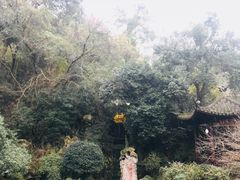 -杭州黄龙洞
