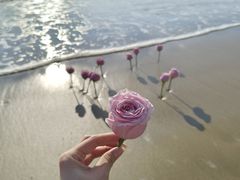 -青澳湾北回归线广场