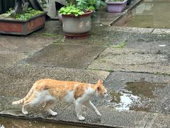 -世纪联华超市(金华双龙店)