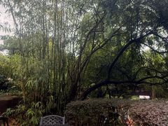 -江门古兜温泉小镇