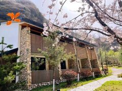 -少华山国家森林公园