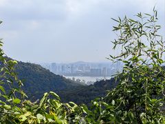 -九曜山