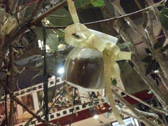android_upload_pic-董小姐咖妃·咖啡·简餐.意面(松江大学城店)