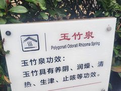 -汤山一号温泉度假区