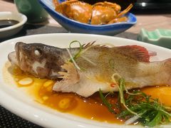-龚记海鲜20年老字号