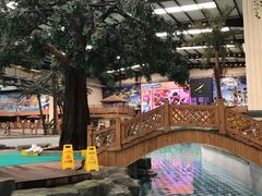 -南宫温泉水世界