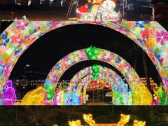 -欢乐海岸椰林沙滩-2025湾区超级灯会