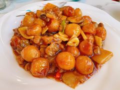 -老苏扬饭店