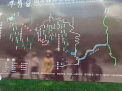 -牛背梁国家森林公园