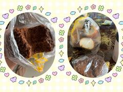 -味多美蛋糕(古城店)