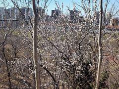 -会宾园·云山宴中餐