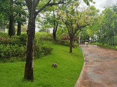 -美的鹭湖探索王国