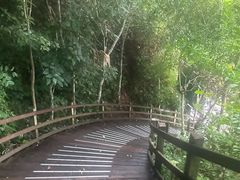 -野象谷景区