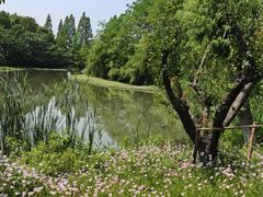 -南湖湿地公园