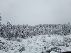 -瓦屋山景区
