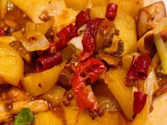 -巴依老爷新疆美食(望京小街店)