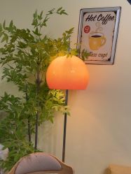 -变美丽半永久纹眉连锁·机器野生眉•洗眉