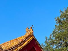-北京市劳动人民文化宫(太庙)