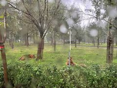 -秦皇岛野生动物园