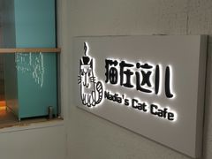 用餐区-猫在这儿猫咪咖啡馆·撸猫馆