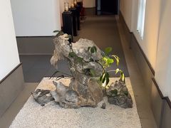 -梅花香里大酒店(郁金香路店)