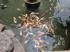 -镇江中国醋文化博物馆